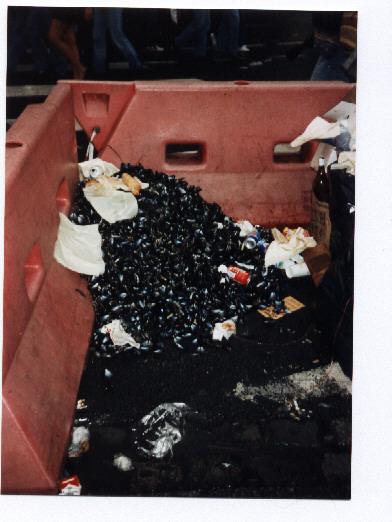 This is the start of what became a 6 foot high pile of moule shells. It was a local competion between cafe's in Lille on a weekend in September. You gotta love the Moule Frite
Don  Sagle
21 May 2003