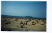 Title: Calais Beach