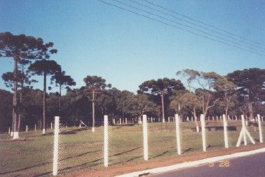 Foto do terreno do templo enviada por Elder Combe, missionário que está atualmente servindo em Curitiba.</p>
Picture of the temple site sent in by Elder Combe who is currently serving in Curitiba .
Brandon Barrick and Jouber Calixto
18 Jul 2003