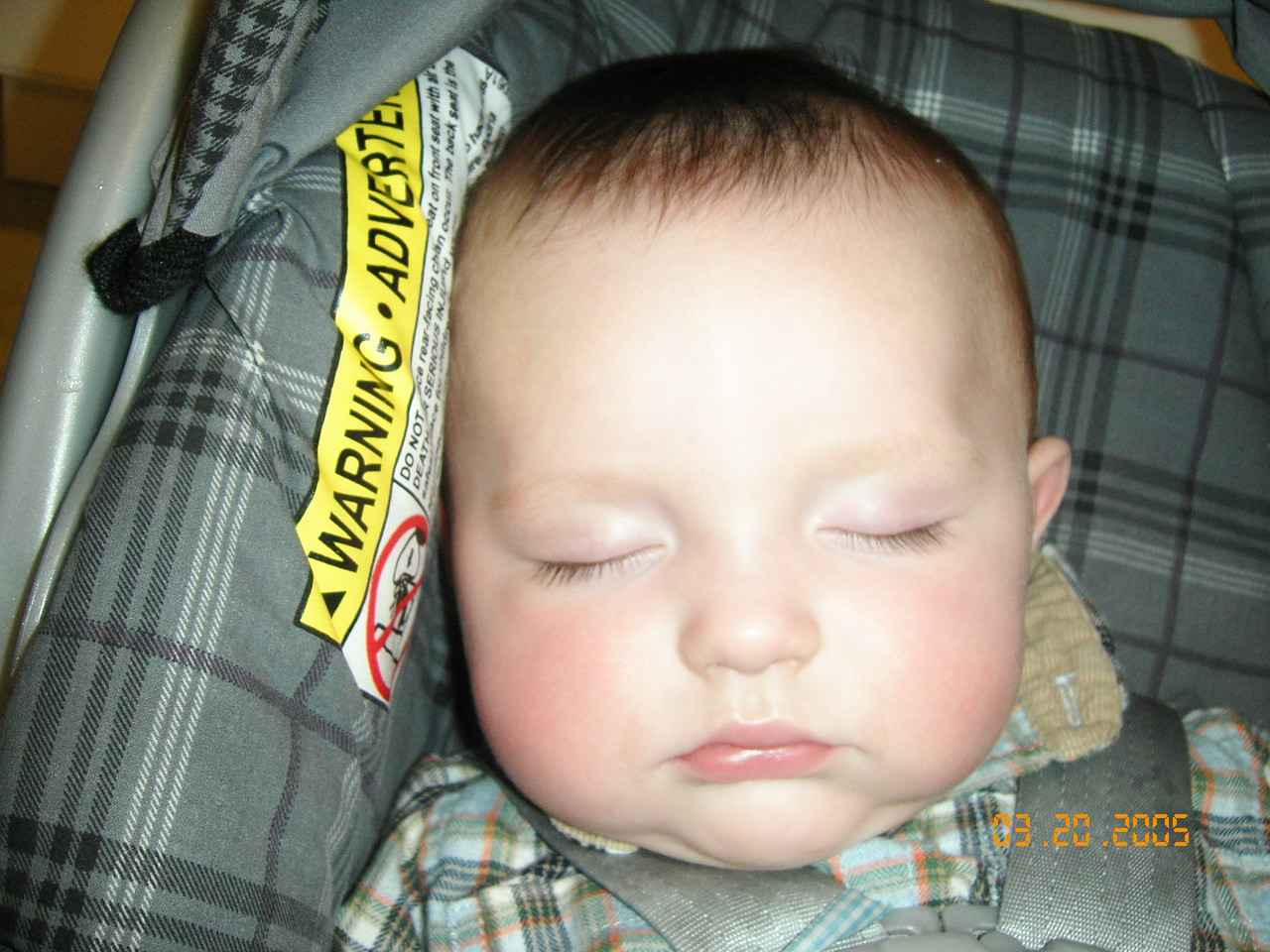 Sara K. Shallenberger Alumni Photo