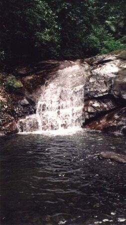 This Waterfall served as our baptisimal font in Ubatuba.  It's on Washington Mourao's property.
Eric N Wells
10 Apr 2004