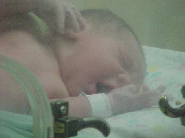 nasceu um missionário com Sangue SP Leste
Émere Cleyton Vasconcelos Sales
18 Jul 2005