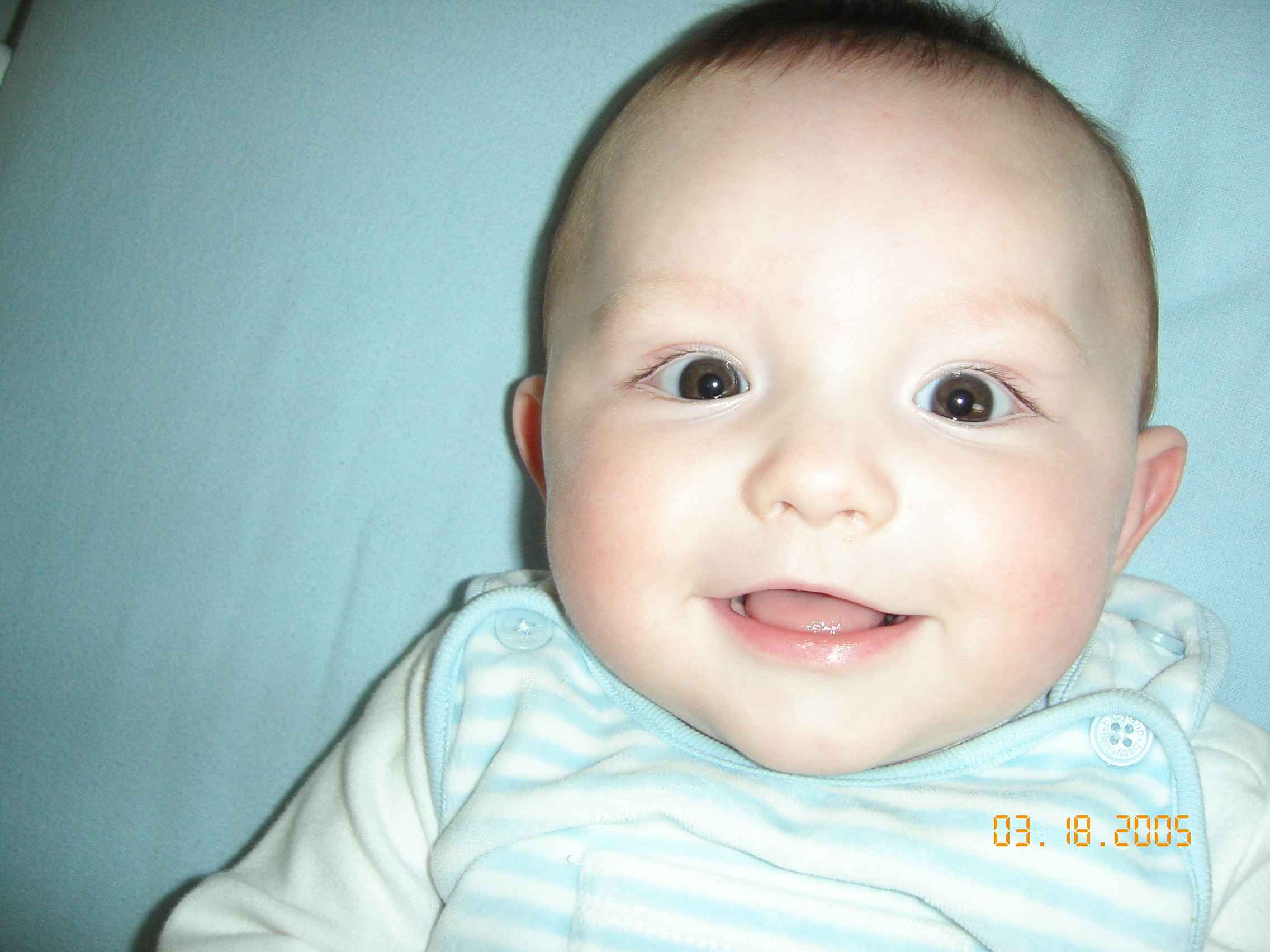 Tanner giggles
Sara K. Shallenberger
22 Jul 2005