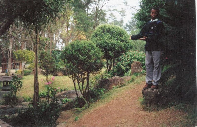 paraiso
Ronisvaldo Ribeiro Santos
08 Aug 2009