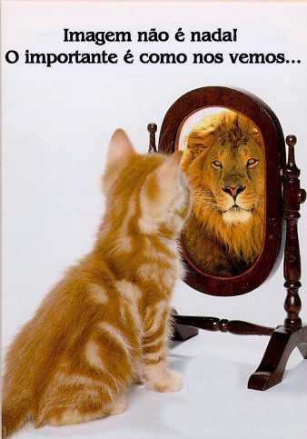 Renato Molina Alumni Photo