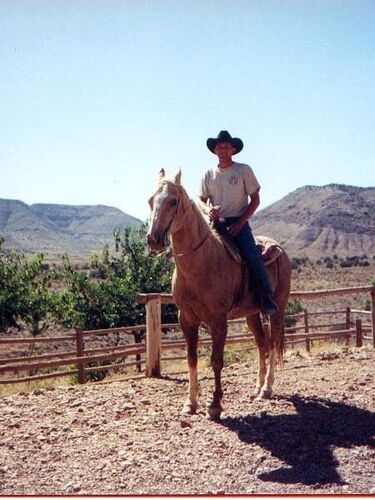 Eu trabalhei um verao num fazenda como um cavalero.
Nathan Lee Corry
23 Dec 2004