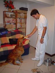 Esse é um dos meus mais recentes pacientes. Antes dessa foto, ele não conseguia sequer levantar o pescoço. Que mágica um pãozinho não faz...hehe...
Ricardo  Henrique
06 Sep 2004