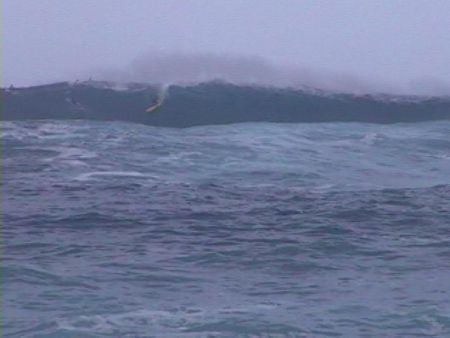 Big Waves on the North Shore of Hawaii, where I live
Colby C. Jenkins
24 Nov 2001