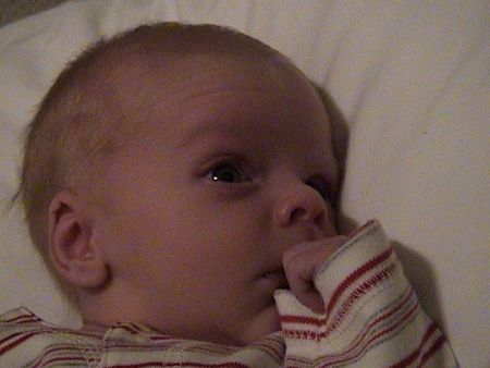 This is Charlie.  Becca and I are so lucky to have him.
Josh L Mauss
01 Apr 2004