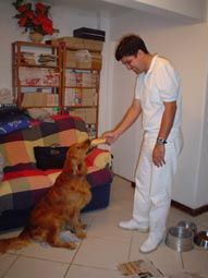 Esse é um dos meus mais recentes pacientes. Antes dessa foto, ele não conseguia sequer levantar o pescoço. Que mágica um pãozinho não faz...hehe...
Ricardo  Henrique
06 Sep 2004