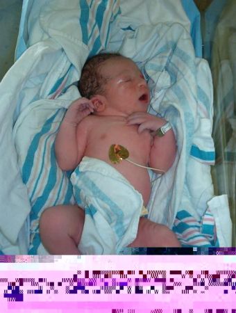 Encontre-se com o novo membro de nossa familia.. Paxton Carter Nelson
Jimmie A. Nelson, Jr.
30 Nov 2004