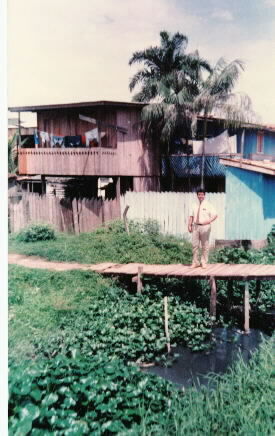 Elder Gaby em Terra Firme, Belém,Pará
Wara Araujo Gaby
18 May 2005