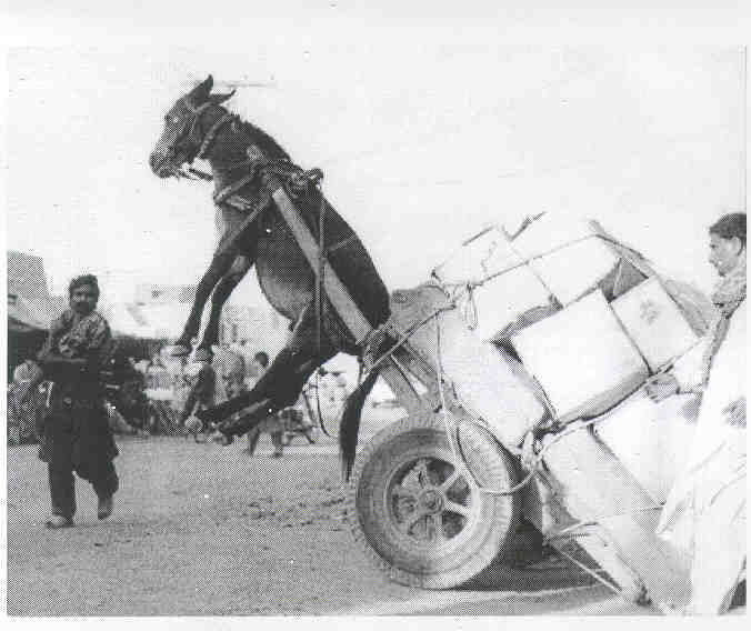 remember these
Dan H Sonntag
26 Apr 2002