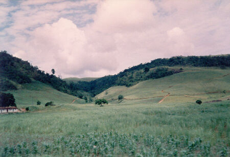 O campo verde de Alagoas.
Brian  Munroe
24 Sep 2003