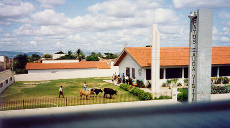 O dia as vacas vieram à igreja.
Patos, PA - 1991
Brian  Munroe
24 Sep 2003