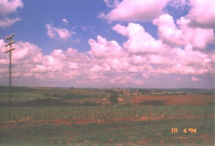 A beautiful view of the countryside from the bus outside the city of Birigui.
Michael J. Simmons
12 Jan 2003