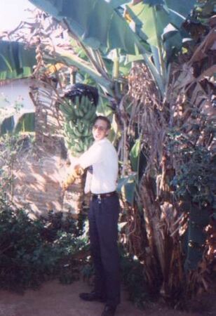 When you are lost in someone's back yard. Hug a banana tree.
Daniel Gibby
18 Aug 2001