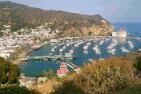 This a the main town area in Catalina Island. This picture was taken from the trail overlooking the town.
Matai Ikona Tupola
06 Mar 2006