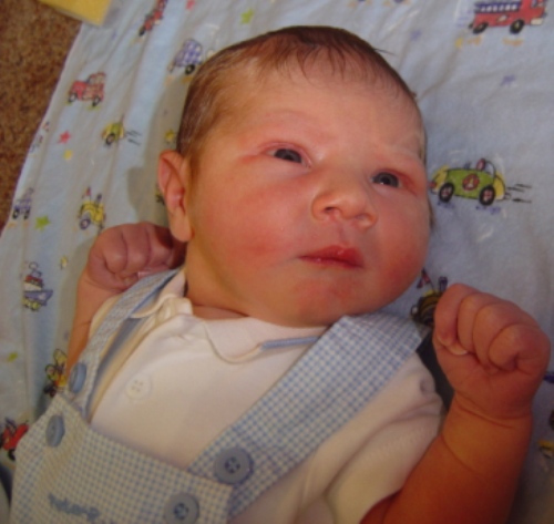 Debbie  Kingsford Alumni Photo