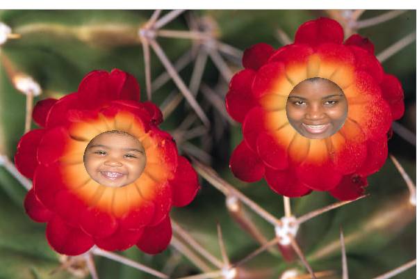 Lidia  Soriano-Tejada Alumni Photo