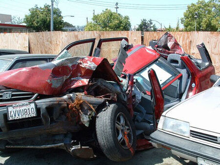 I was having sweet dreams (behind the wheel) when a large tree transformed them into a nightmare.  Ouch.
David VERNE  Hansen
03 Jan 2005