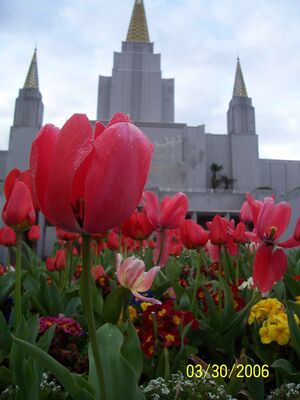 Sione  Taufa Alumni Photo