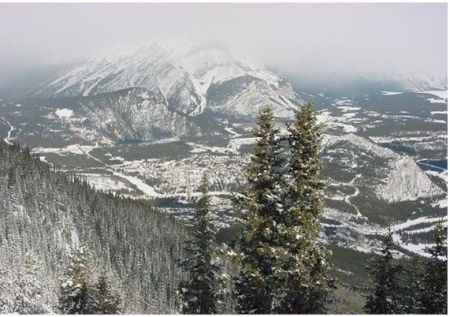 Here is the view of Banff from the top of Sulphur Mountain
David J. Campos
21 Mar 2003