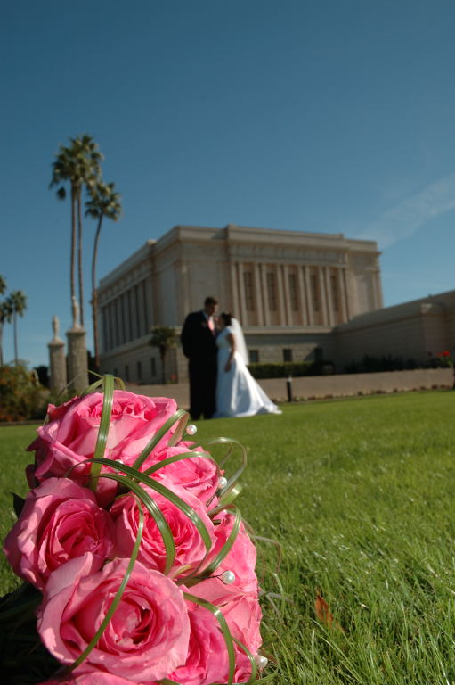 Julie  Buckner Alumni Photo