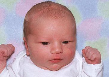 YO! who is this big boy? What a powerful name!
chih chang  chou
31 Jan 2002