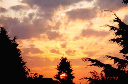 This was the sunrise from our Vancouver apartment on Fraser Ave.  Submitted by Jim Pipes
Richard Funk
10 Nov 2003