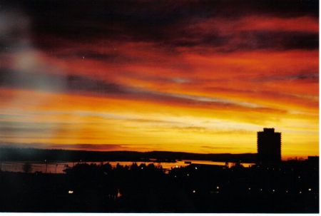 This is what I saw one morning when before companionship study
David  Williams
03 Jul 2004