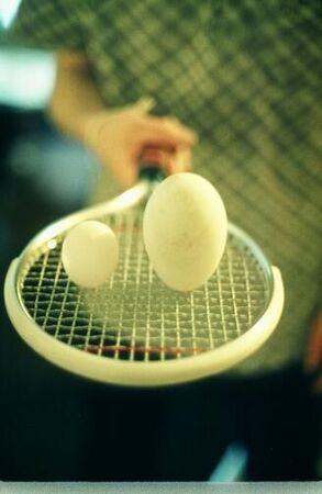 Chicken egg and goose egg summer 1976
Loren H Evans
05 Jul 2007