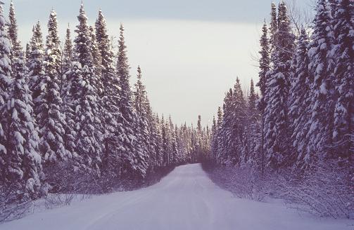 Road to Thompson Manitoba winter 1976
Loren H Evans
08 Jul 2007