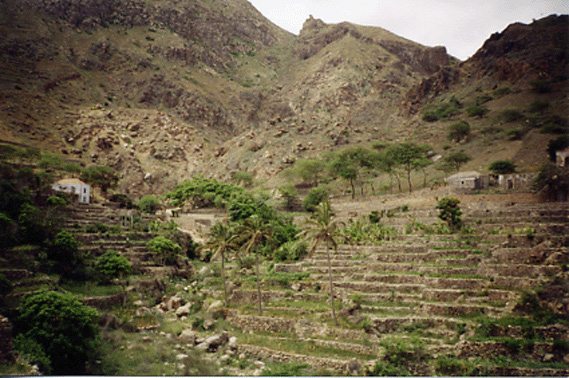 The locals rave about the spring water found here on the eastern side of the island
Mark Homer Coulam
23 Jul 2003