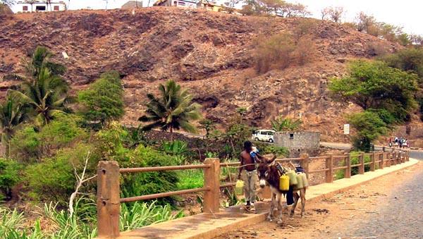 Carrying Water Home
Patricia A. Peterson
06 Apr 2006