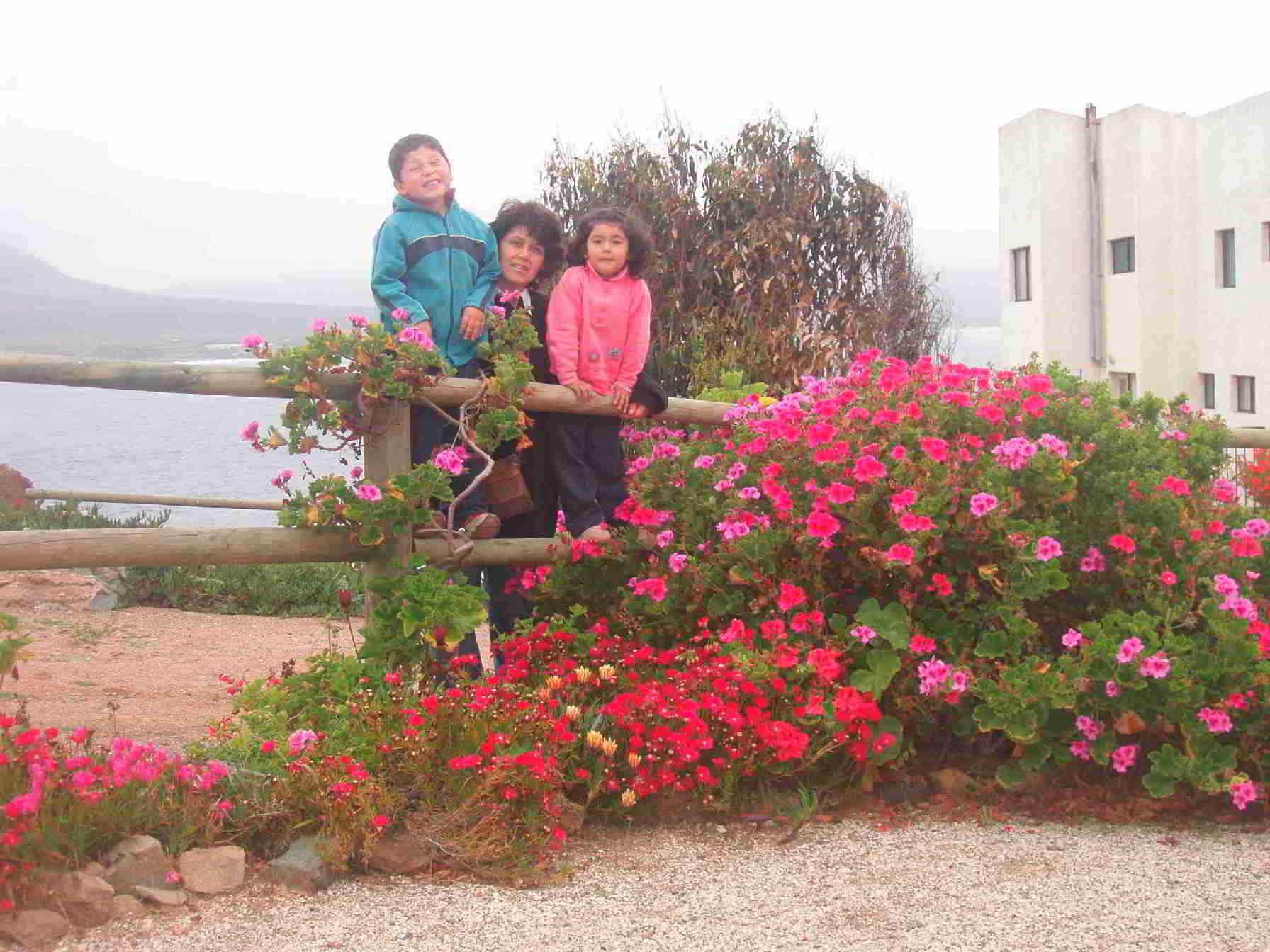 FUE UN DIA DE PRIMAVERA, LA CAPTURE EN UNA FOTO JUNTO A MI FAMILIA.
OLIVER CABEZAS
CABEZAS H OLIVER GORKI CABEZAS
29 Dec 2005