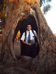 Carlos Felipe Alegri­a Alumni Photo
