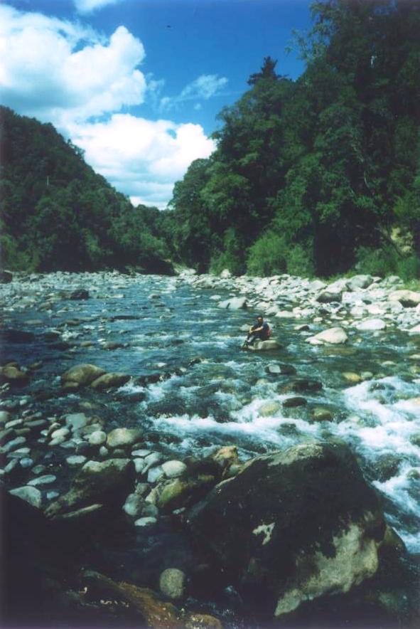 Rio que pasa por Santa Barbara y desemboca en el Bio Bio
Alejandro  Cifuentes
18 Jul 2006