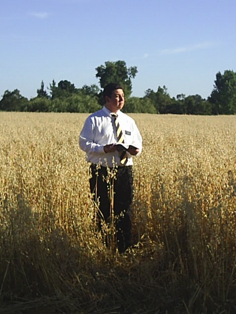 El campo blanco esta ya para la siega (DyC 4) 
Aqui en yungay lindo pueblo
Alejandro Rodrigo Orellana Aros
19 Apr 2007