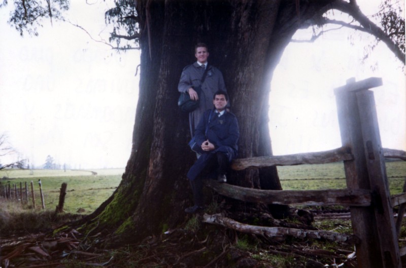 Un gran arbol,sector los angeles, un lugar magnifico en este lugar para comtemplar la naturalezaaaaaaaaaaaaaaaaaaaa
Jose Eduardo Muñoz Riveros
06 Jun 2007