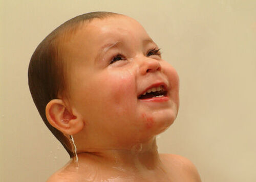 This is my son Parker, he likes to get wet.
Philip Young Fox
25 Oct 2003