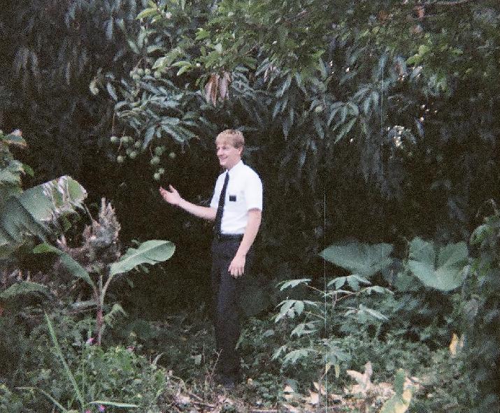 Cuidado, Elder
David Michael Shepley
06 Jun 2007