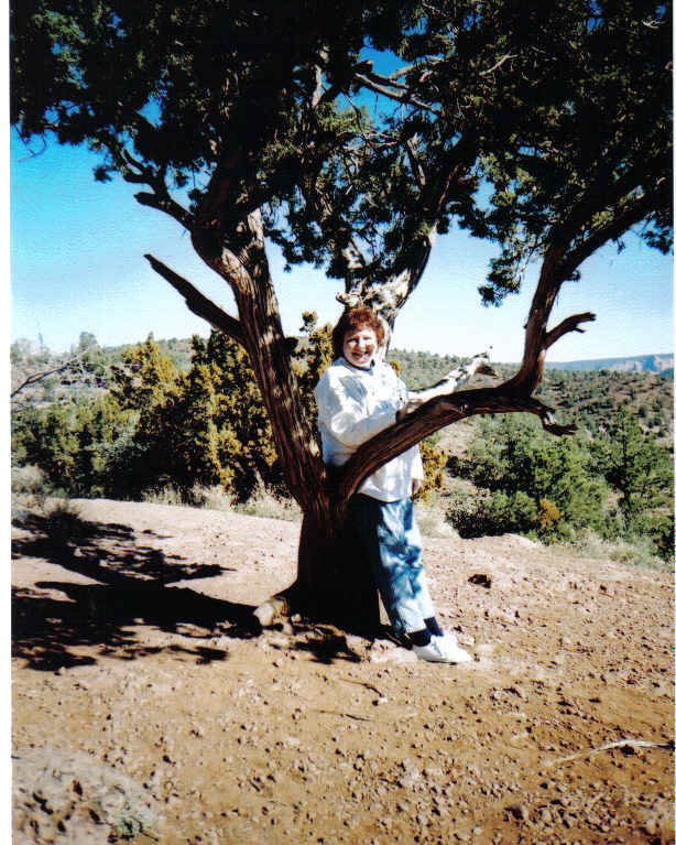 Robin Elizabeth Lee Alumni Photo