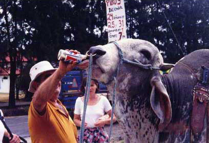 Move over Britany Spears, make room for something leaner!
Jeremiah Daniel Shakespear
07 Aug 2002