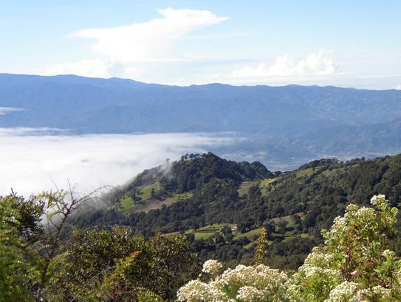 View from Irazu Volcano looking northeast toward Guapiles
Roger King Hadley
16 Feb 2004