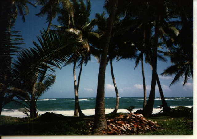 al oeste saliendo de nagua
Benjamin F. Cluff
13 Jun 2001