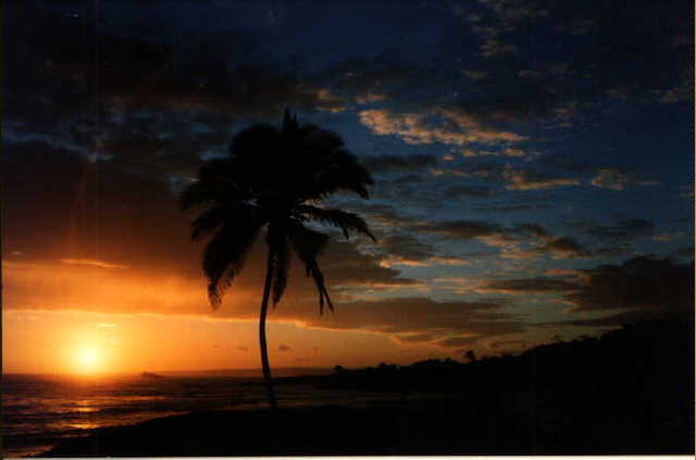 beautiful sunset in puerto plata
Benjamin F. Cluff
13 Jun 2001