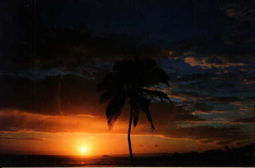 gotta love it
Benjamin F. Cluff
13 Jun 2001