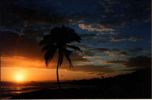 beautiful sunset in puerto plata
Benjamin F. Cluff
13 Jun 2001