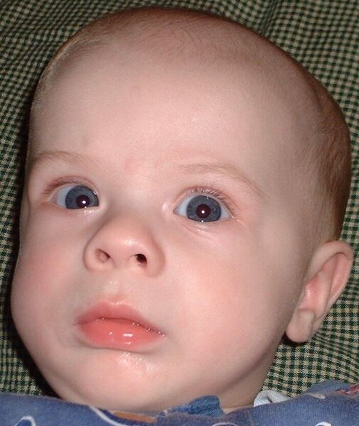 Me dicen los ojos grandes pero me llamo Andrew Davies, hijo de Elder Davies
Ryan  Davies
14 Dec 2003